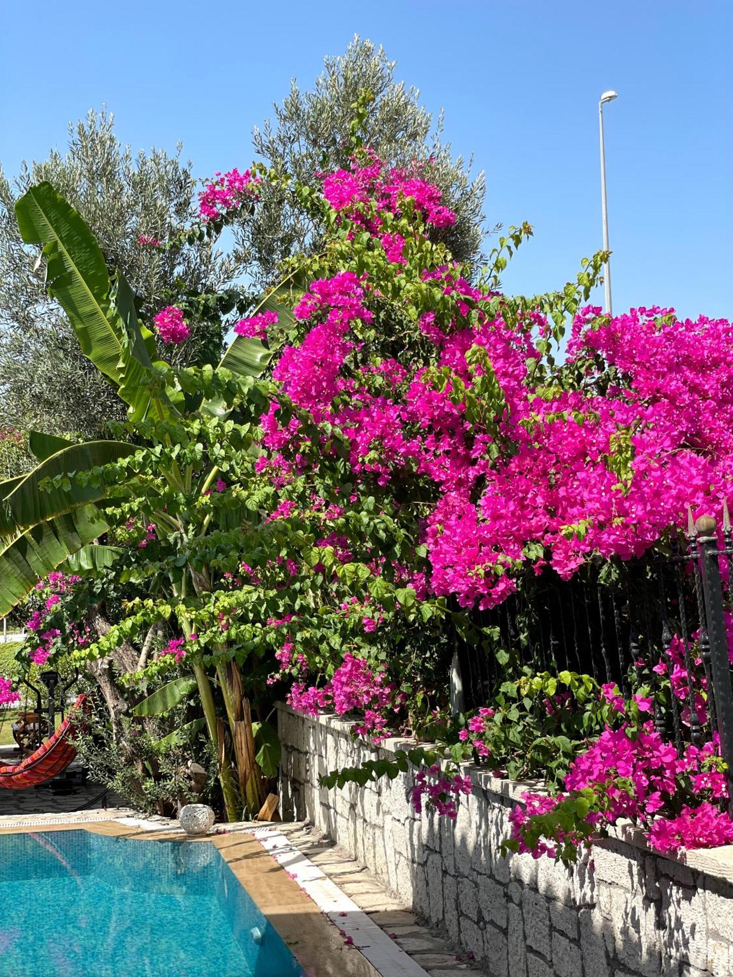 Ata Boutique Hotel Çeşme Dış mekan fotoğraf